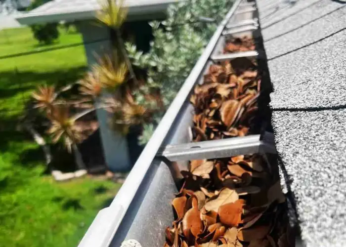 Elton gutter cleaning home page